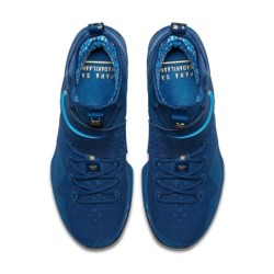 Nike LeBron 14 - Design Exclusif Élite