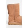 Bottes UGG Classic Short II | Confort Quotidien